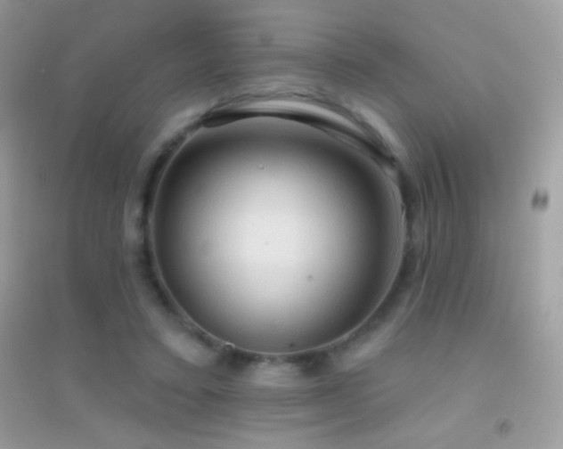 X0000095110403200712071222