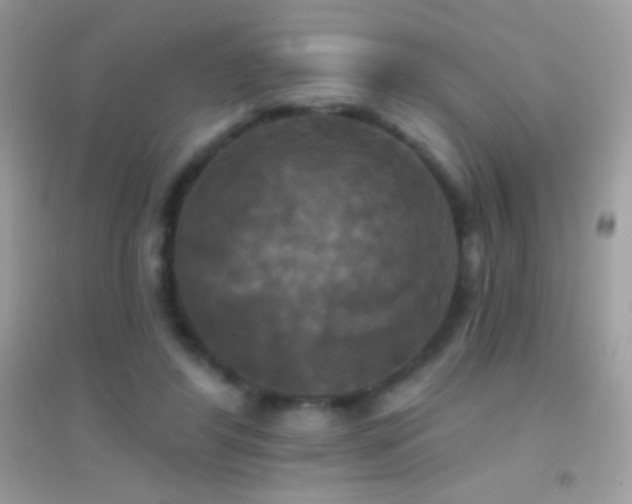 X0000095110404200712071222