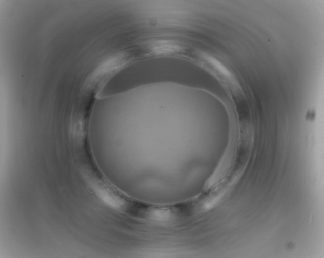 X0000095110405200712071222