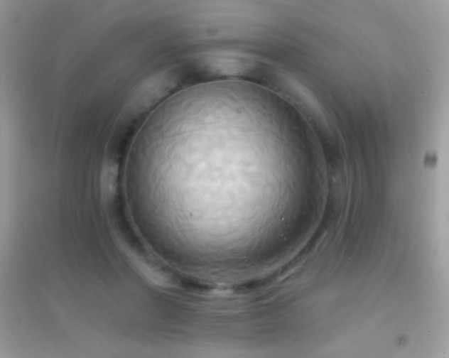 X0000095110406200712071222