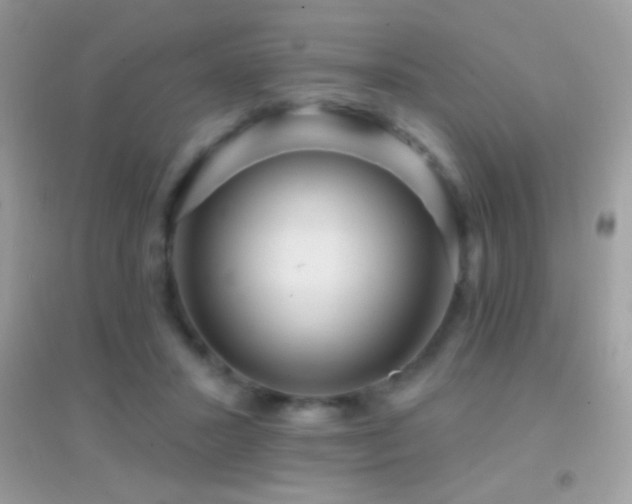 X0000095110407200712071222