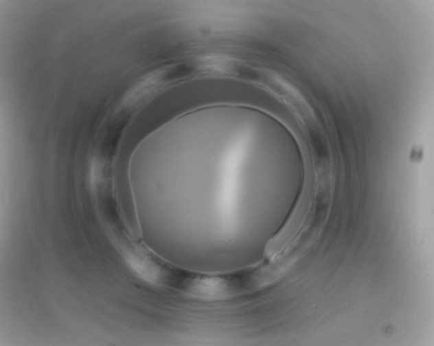 X0000095110409200712071222