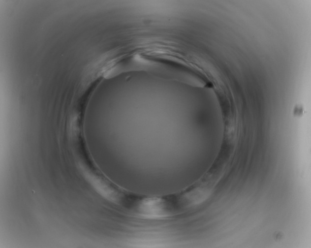 X0000095110410200712071222