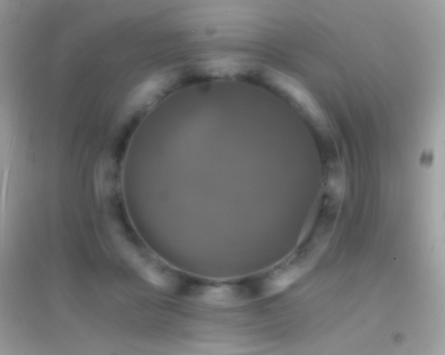 X0000095110411200712071222