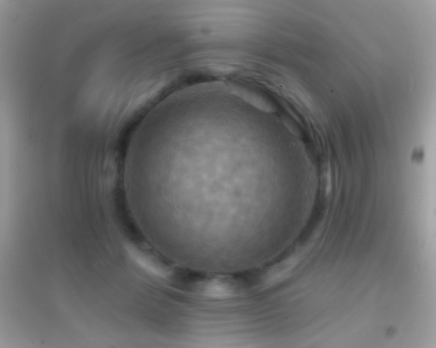 X0000095110412200712071222