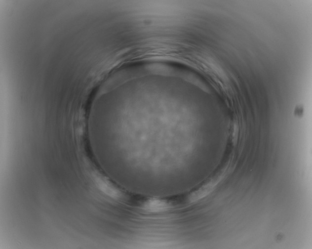 X0000095110413200712071222