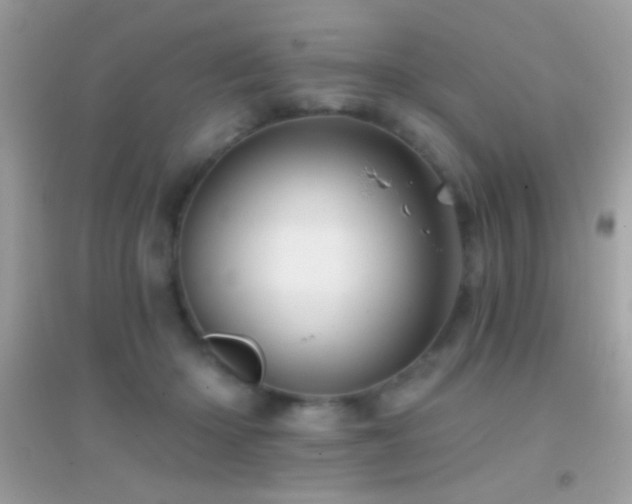 X0000095110414200712071222