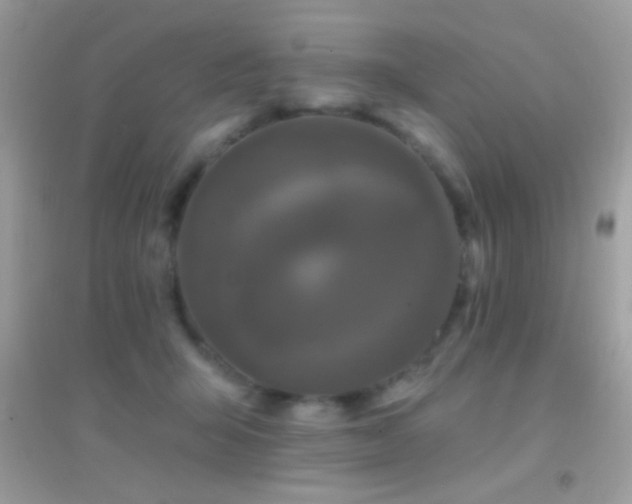 X0000095110415200712071222