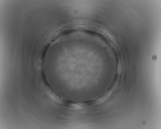 X0000095110417200712071222