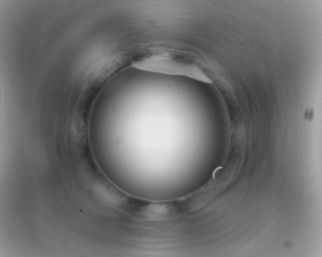 X0000095110418200712071222