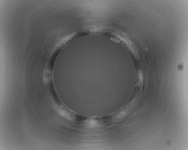 X0000095110419200712071222