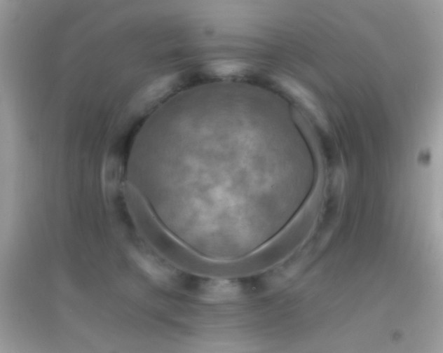 X0000095110421200712071222