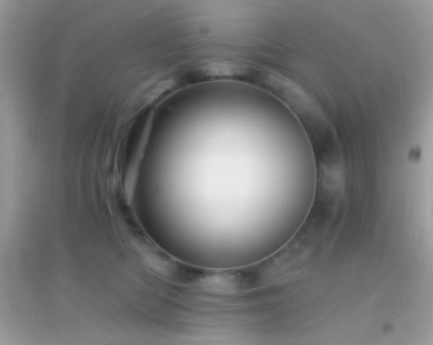 X0000095110422200712071222