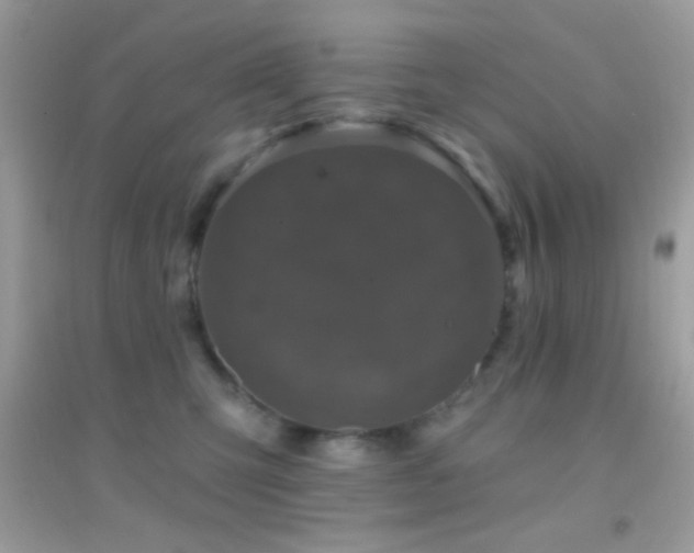 X0000095110423200712071222