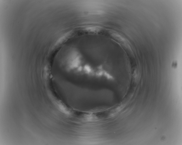 X0000095110424200712071222