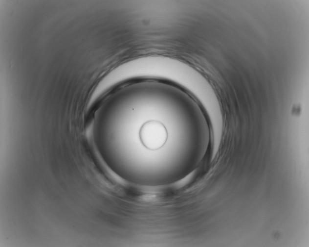 X0000095110425200712071222