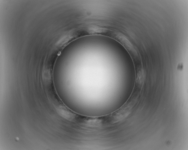 X0000095110426200712071222