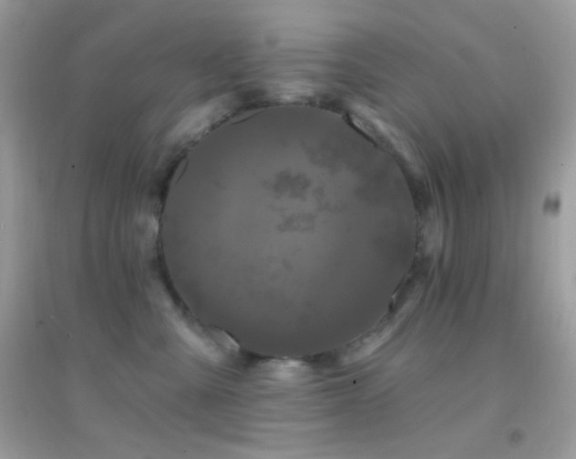 X0000095110427200712071222