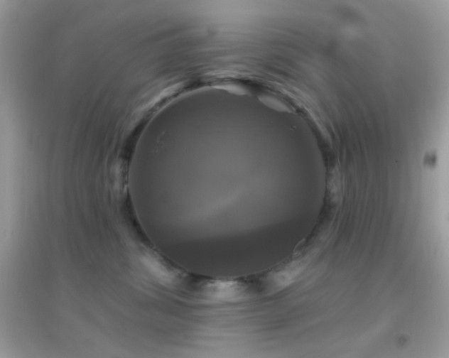 X0000095110428200712071222