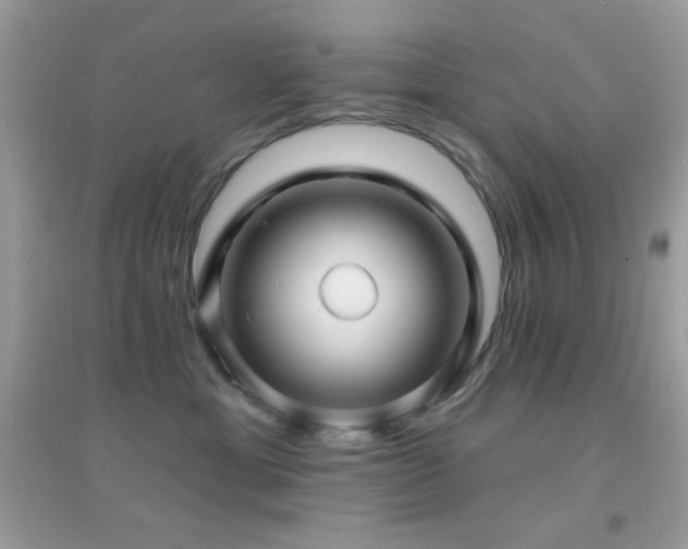 X0000095110429200712071222