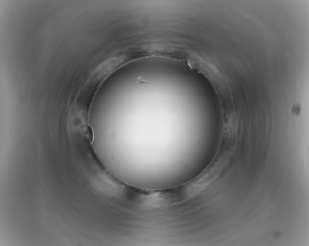 X0000095110430200712071222