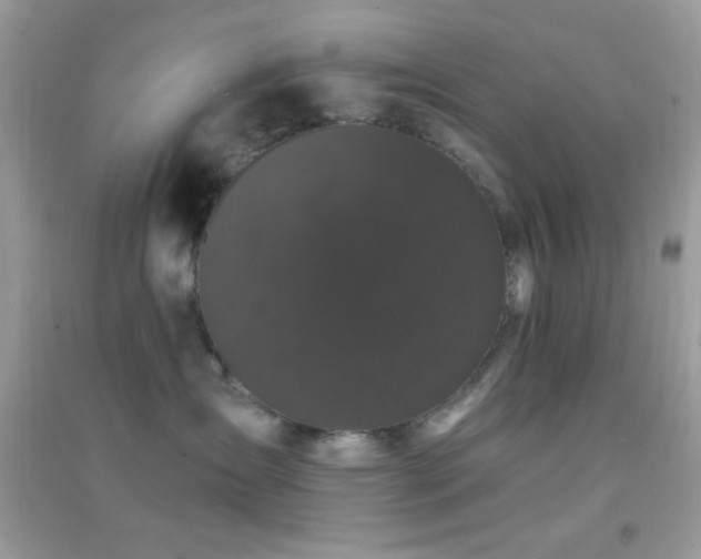 X0000095110431200712071222