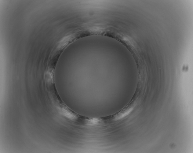 X0000095110432200712071222