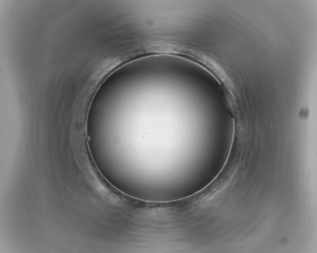 X0000095110433200712071221