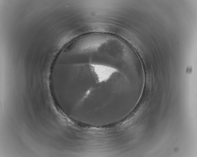 X0000095110434200712071221