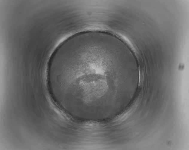 X0000095110435200712071221