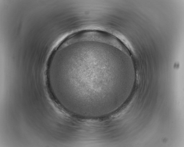 X0000095110436200712071221