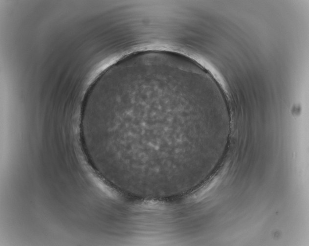 X0000095110437200712071221