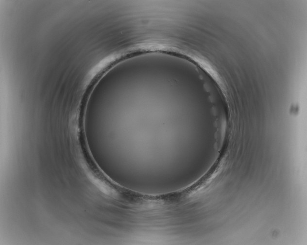 X0000095110438200712071221