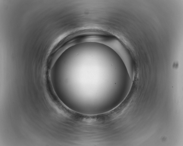 X0000095110440200712071221