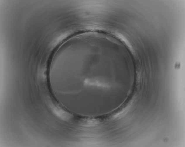 X0000095110443200712071221