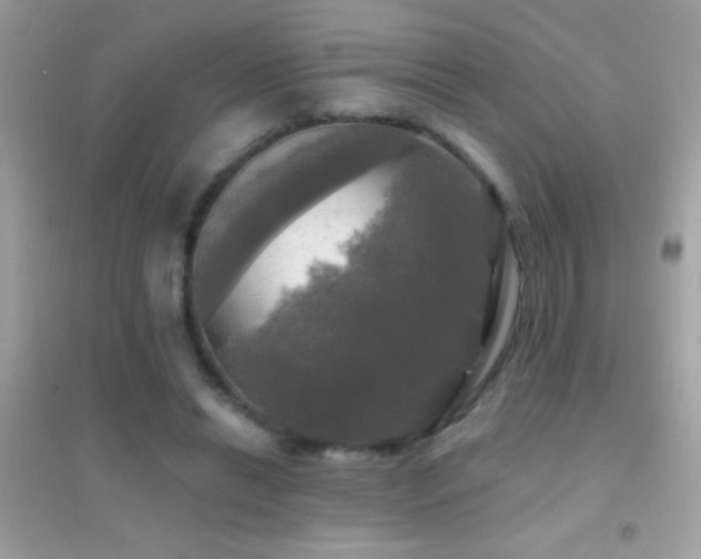 X0000095110446200712071221