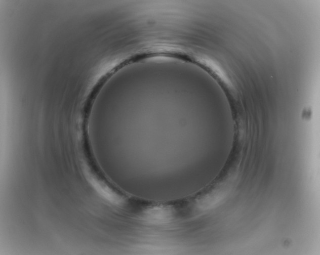 X0000095110447200712071221