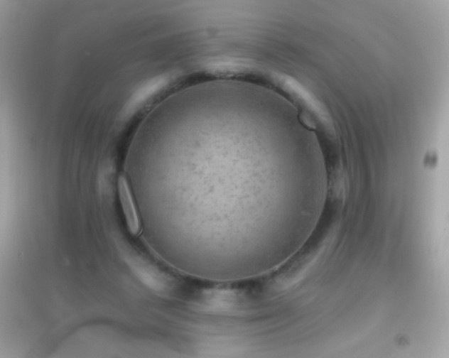 X0000095110448200712071221