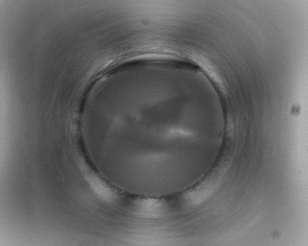 X0000095110449200712071221