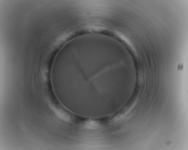 X0000095110451200712071221