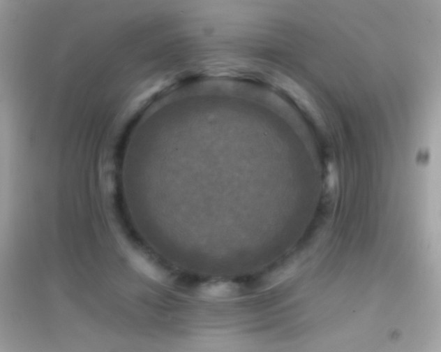 X0000095110452200712071221