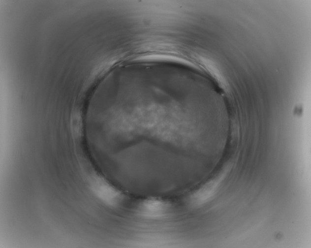 X0000095110453200712071221