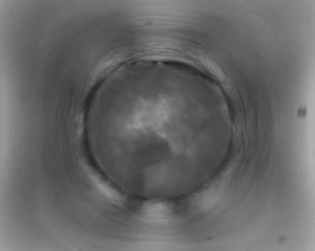 X0000095110454200712071221