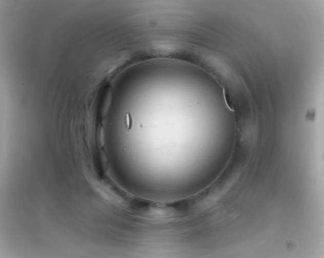 X0000095110455200712071221