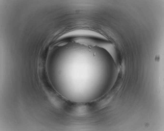 X0000095110456200712071221