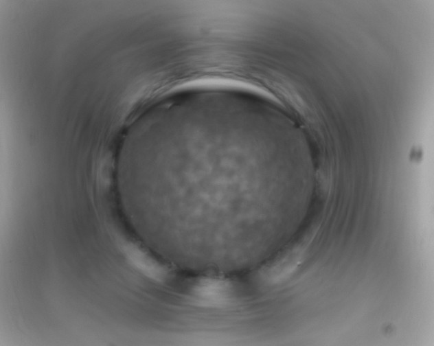 X0000095110458200712071221