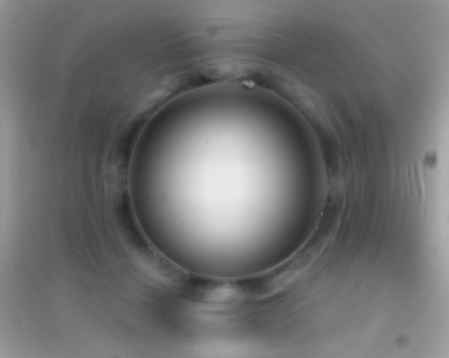 X0000095110460200712071221