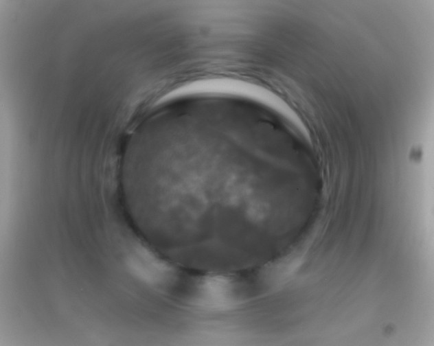 X0000095110462200712071221