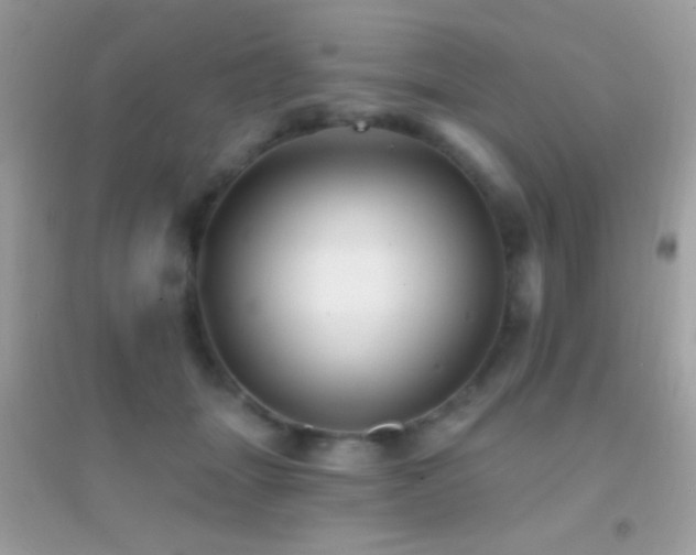 X0000095110463200712071221