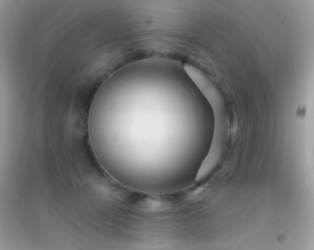 X0000095110464200712071221